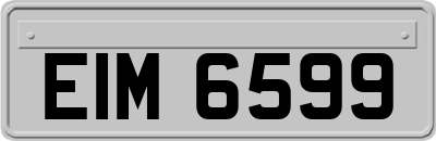 EIM6599