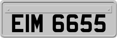 EIM6655