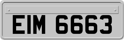 EIM6663