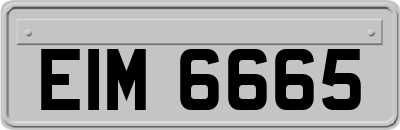 EIM6665
