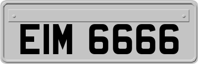 EIM6666