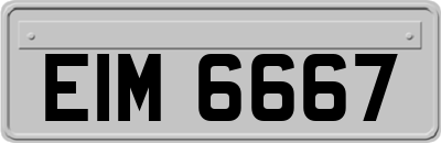 EIM6667