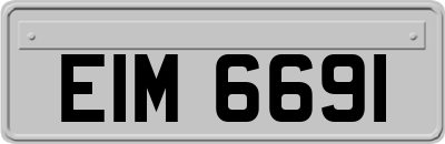 EIM6691