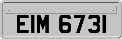 EIM6731
