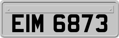 EIM6873