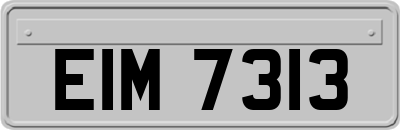 EIM7313