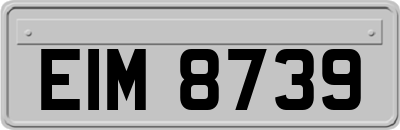 EIM8739