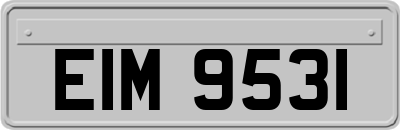 EIM9531