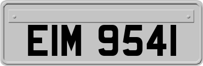 EIM9541