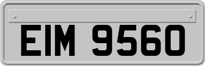 EIM9560