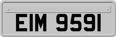 EIM9591