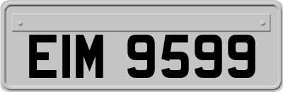 EIM9599