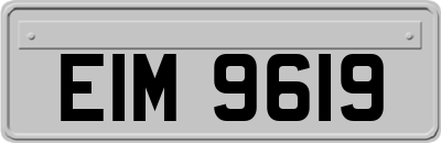 EIM9619