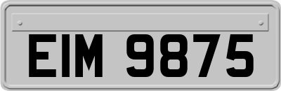 EIM9875