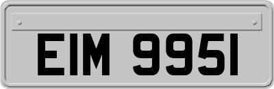 EIM9951