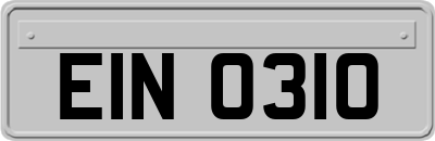 EIN0310