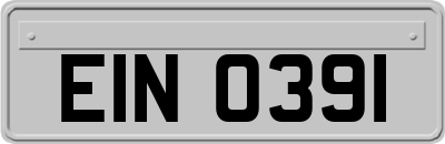 EIN0391