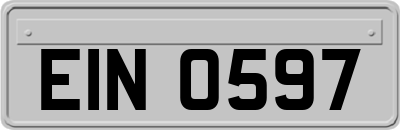 EIN0597