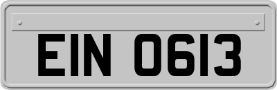 EIN0613