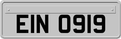 EIN0919