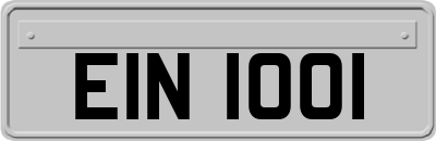 EIN1001