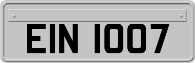 EIN1007