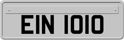 EIN1010