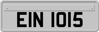 EIN1015
