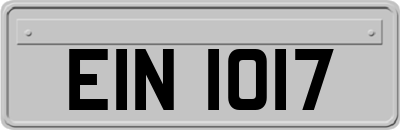 EIN1017