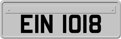 EIN1018