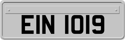 EIN1019