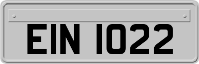 EIN1022