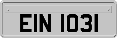 EIN1031
