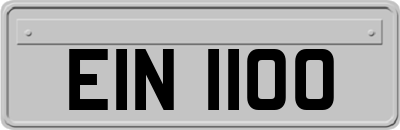 EIN1100