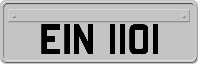 EIN1101