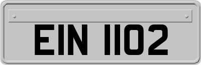 EIN1102