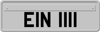 EIN1111