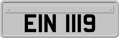 EIN1119