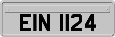 EIN1124