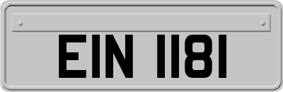 EIN1181