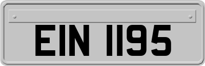 EIN1195