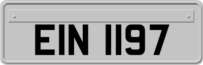 EIN1197