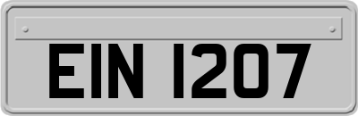 EIN1207