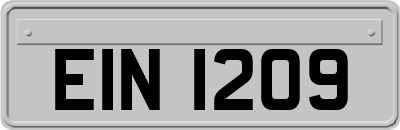 EIN1209