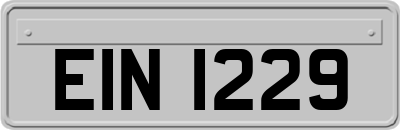 EIN1229