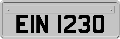 EIN1230