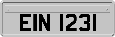 EIN1231