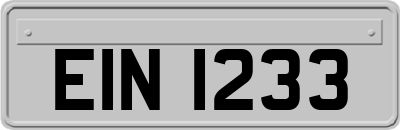 EIN1233