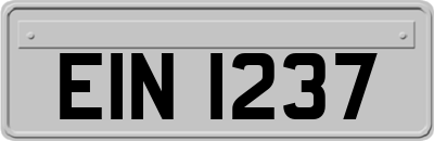 EIN1237