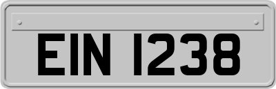 EIN1238